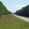 Tour 13: Darß - 2